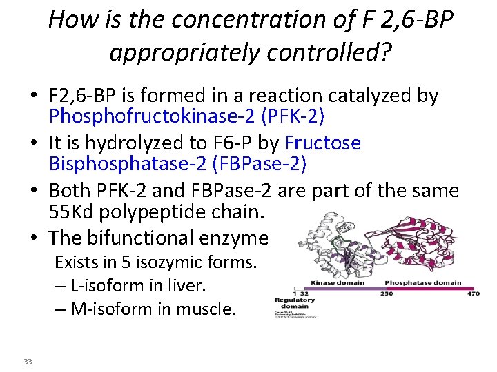 How is the concentration of F 2, 6 -BP appropriately controlled? • F 2,