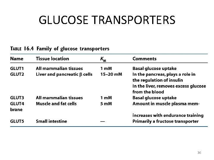 GLUCOSE TRANSPORTERS 36 