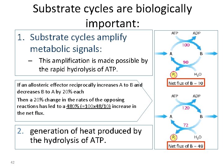 Substrate cycles are biologically important: 1. Substrate cycles amplify metabolic signals: – This amplification