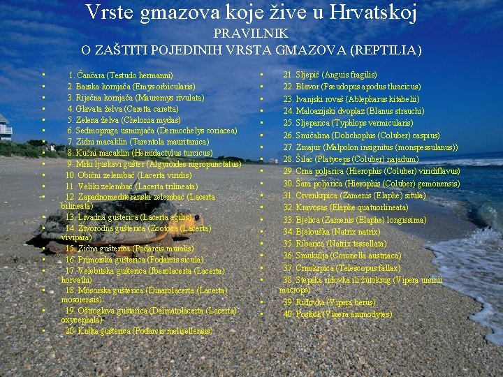 Vrste gmazova koje žive u Hrvatskoj PRAVILNIK O ZAŠTITI POJEDINIH VRSTA GMAZOVA (REPTILIA) •