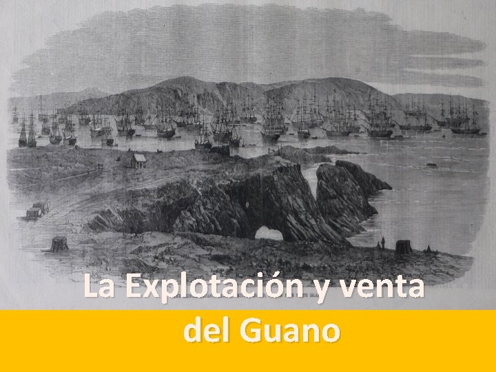 La Explotación y venta del Guano 