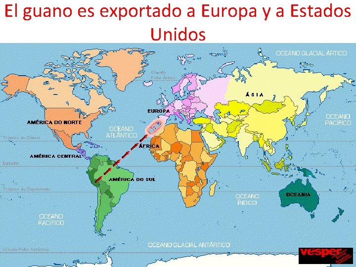 El guano es exportado a Europa y a Estados Unidos 