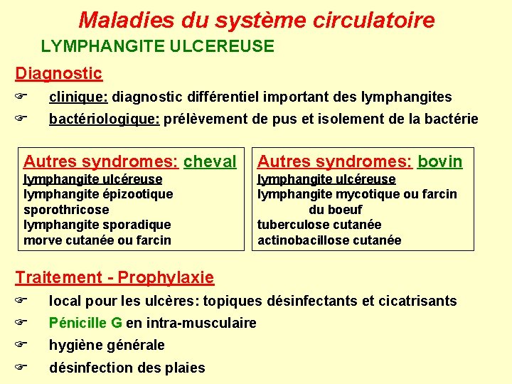 Maladies du système circulatoire LYMPHANGITE ULCEREUSE Diagnostic F clinique: diagnostic différentiel important des lymphangites