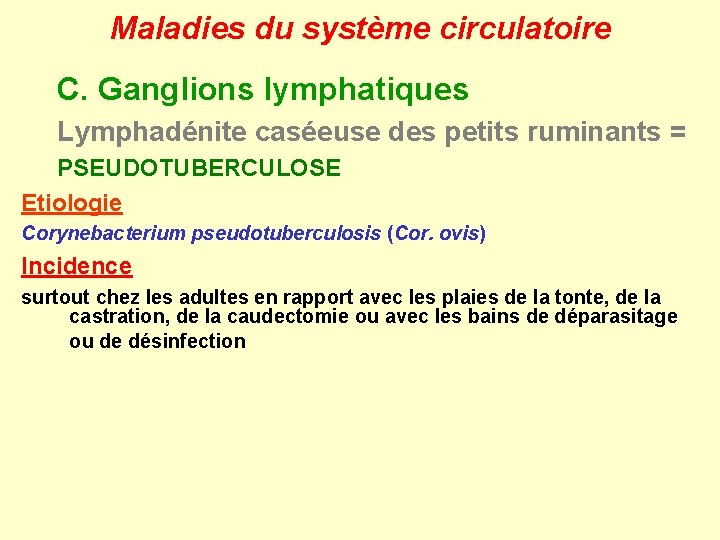 Maladies du système circulatoire C. Ganglions lymphatiques Lymphadénite caséeuse des petits ruminants = PSEUDOTUBERCULOSE