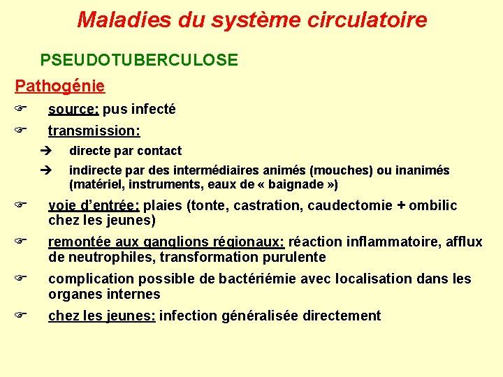 Maladies du système circulatoire PSEUDOTUBERCULOSE Pathogénie F source: pus infecté F transmission: è directe