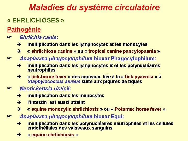 Maladies du système circulatoire « EHRLICHIOSES » Pathogénie F Ehrlichia canis: è è F