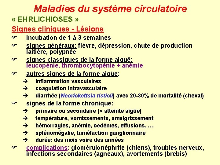 Maladies du système circulatoire « EHRLICHIOSES » Signes cliniques - Lésions F F incubation