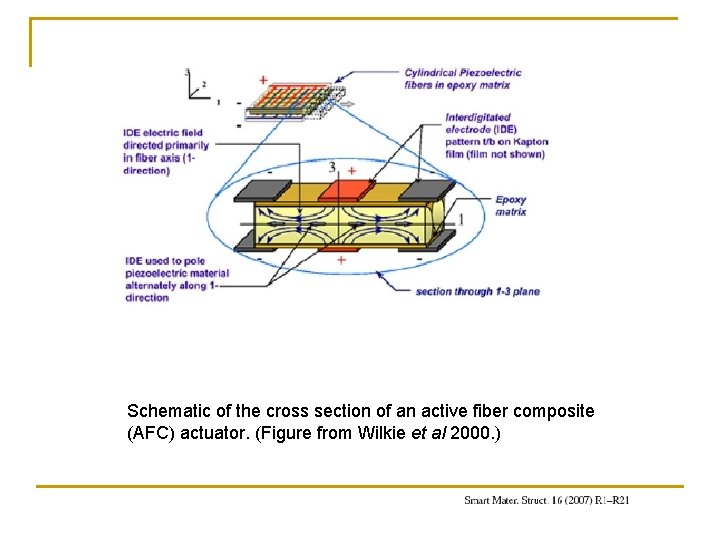 Schematic of the cross section of an active fiber composite (AFC) actuator. (Figure from