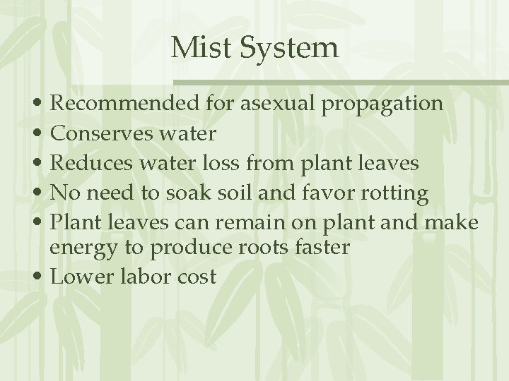 Mist System • Recommended for asexual propagation • Conserves water • Reduces water loss