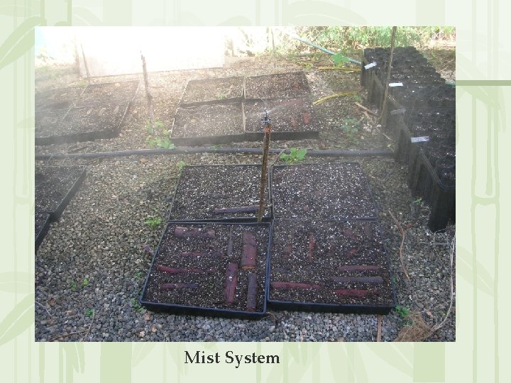 Mist System 