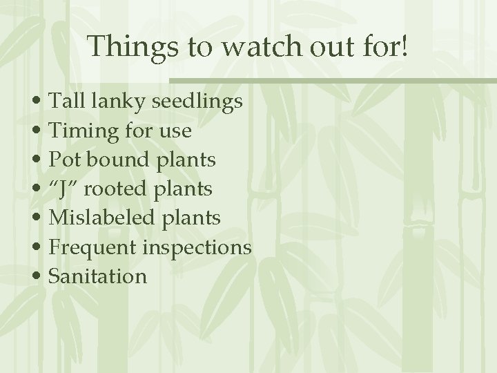 Things to watch out for! • Tall lanky seedlings • Timing for use •