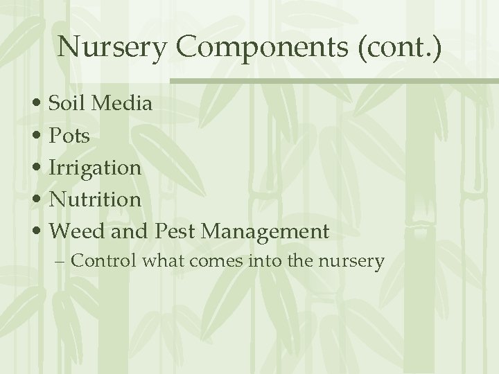 Nursery Components (cont. ) • Soil Media • Pots • Irrigation • Nutrition •