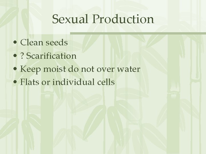 Sexual Production • Clean seeds • ? Scarification • Keep moist do not over