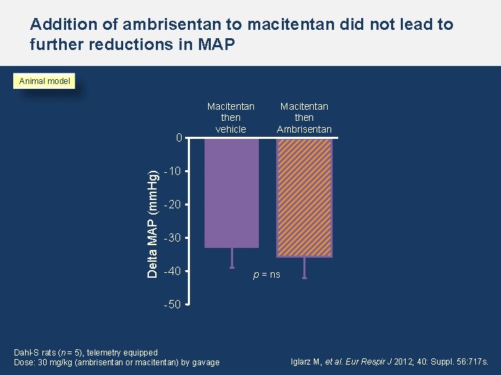 Addition of ambrisentan to macitentan did not lead to further reductions in MAP Animal