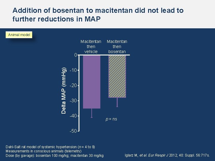 Addition of bosentan to macitentan did not lead to further reductions in MAP Animal