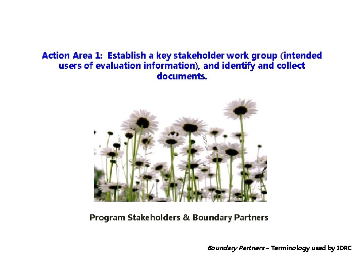 Action Area 1: Establish a key stakeholder work group (intended users of evaluation information),