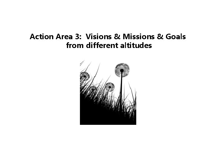 Action Area 3: Visions & Missions & Goals from different altitudes 