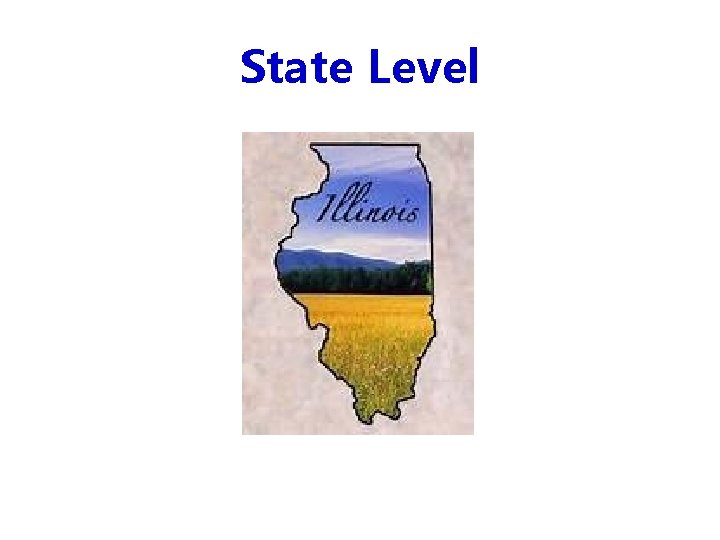 State Level 