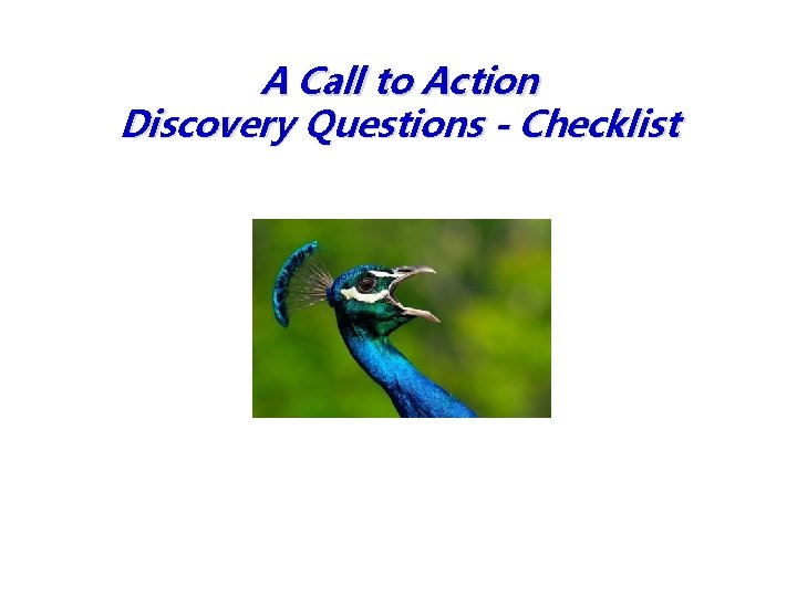 A Call to Action Discovery Questions - Checklist 