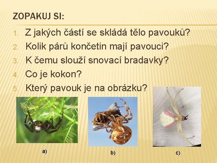 ZOPAKUJ SI: 1. 2. 3. 4. 5. Z jakých částí se skládá tělo pavouků? ZOPAKUJ SI: 1. 2. 3. 4. 5. Z jakých částí se skládá tělo pavouků?