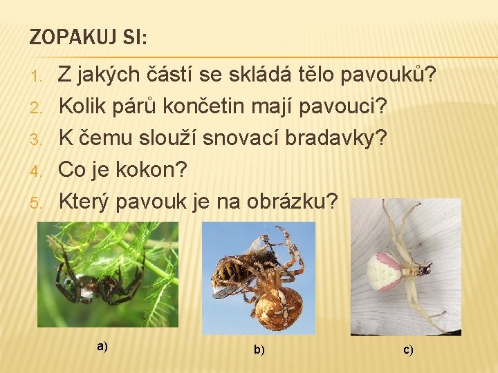 ZOPAKUJ SI: 1. 2. 3. 4. 5. Z jakých částí se skládá tělo pavouků?