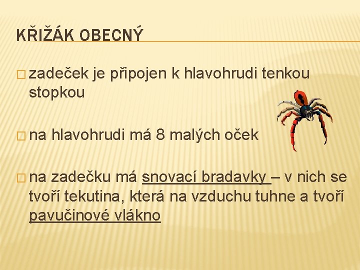KŘIŽÁK OBECNÝ � zadeček je připojen k hlavohrudi tenkou stopkou � na hlavohrudi má KŘIŽÁK OBECNÝ � zadeček je připojen k hlavohrudi tenkou stopkou � na hlavohrudi má