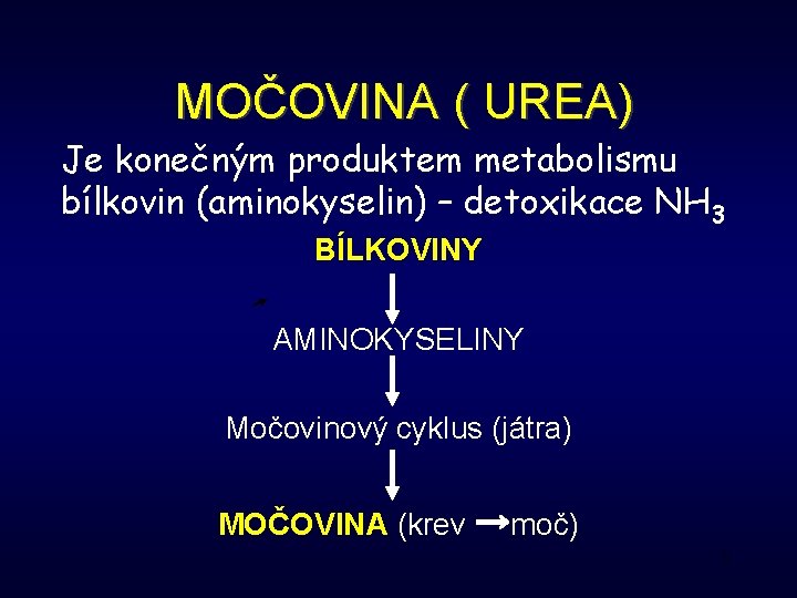 MOČOVINA ( UREA) Je konečným produktem metabolismu bílkovin (aminokyselin) – detoxikace NH 3 BÍLKOVINY