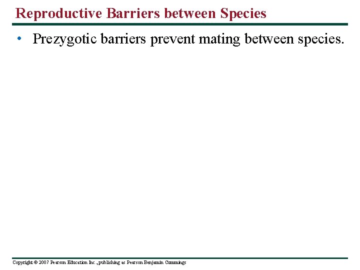 Reproductive Barriers between Species • Prezygotic barriers prevent mating between species. Copyright © 2007