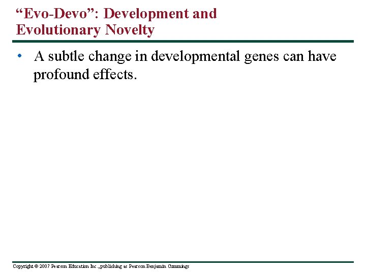“Evo-Devo”: Development and Evolutionary Novelty • A subtle change in developmental genes can have