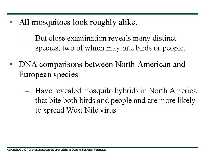  • All mosquitoes look roughly alike. – But close examination reveals many distinct
