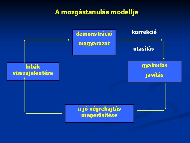 A mozgástanulás modellje demonstráció magyarázat korrekció utasítás gyakorlás hibák visszajelentése javítás a jó végrehajtás