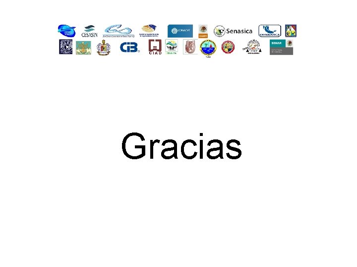 Gracias 