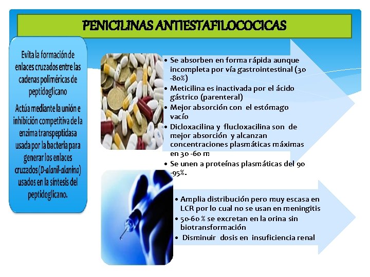 PENICILINAS ANTIESTAFILOCOCICAS • Se absorben en forma rápida aunque incompleta por vía gastrointestinal (30