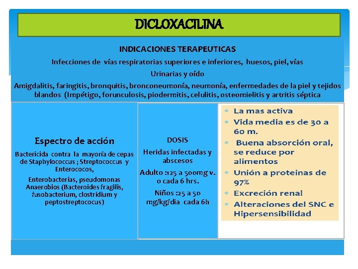 DICLOXACILINA INDICACIONES TERAPEUTICAS Infecciones de vías respiratorias superiores e inferiores, huesos, piel, vías Urinarias