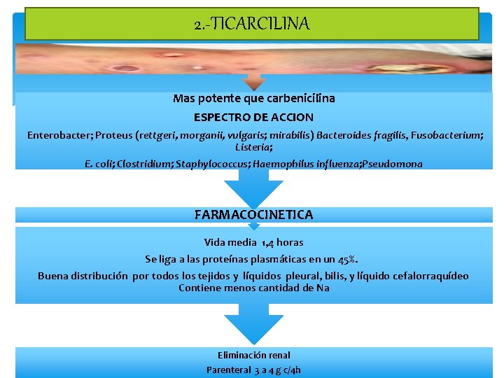 2. -TICARCILINA Mas potente que carbenicilina ESPECTRO DE ACCION Enterobacter; Proteus (rettgeri, morganii, vulgaris;