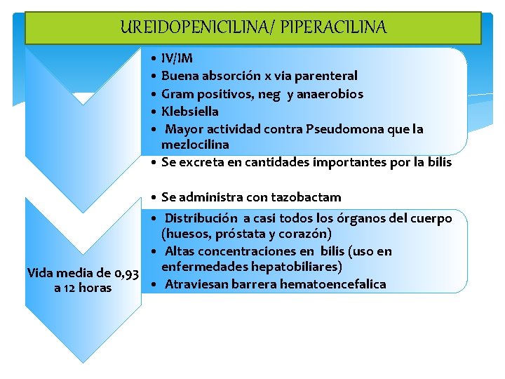 UREIDOPENICILINA/ PIPERACILINA • IV/IM • Buena absorción x via parenteral • Gram positivos, neg