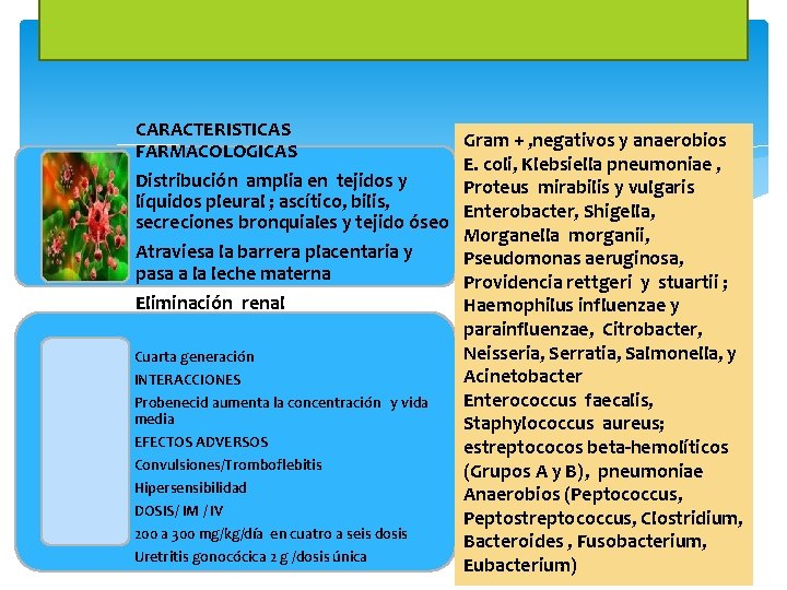 MEZLOCILINA CARACTERISTICAS FARMACOLOGICAS Distribución amplia en tejidos y líquidos pleural ; ascítico, bilis, secreciones