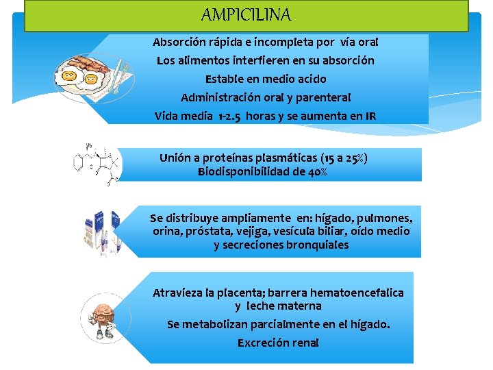 AMPICILINA (1959 ) Absorción rápida e incompleta por vía oral Los alimentos interfieren en