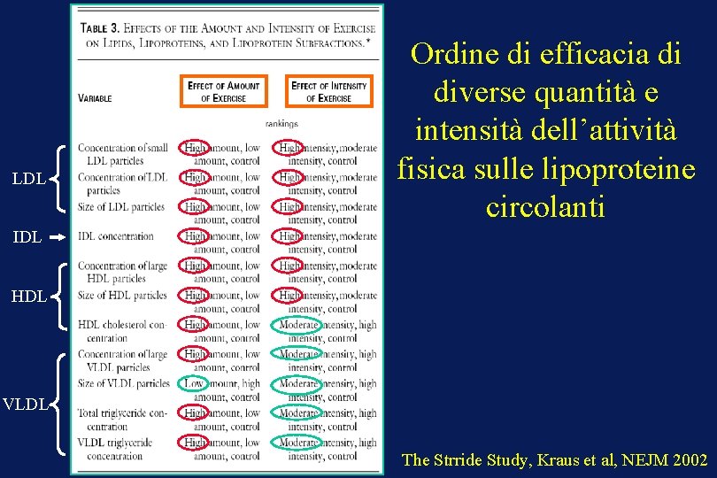 LDL Ordine di efficacia di diverse quantità e intensità dell’attività fisica sulle lipoproteine circolanti