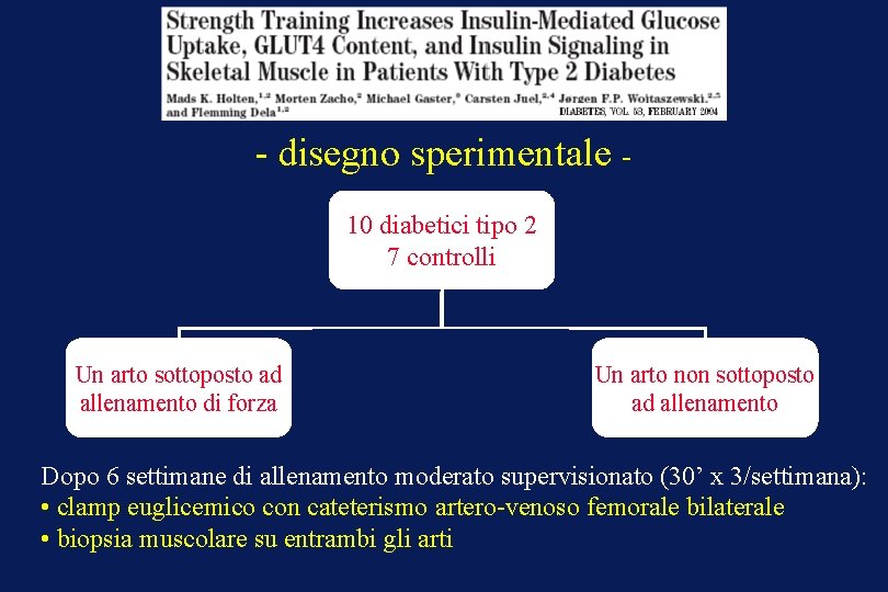 - disegno sperimentale 10 diabetici tipo 2 7 controlli Un arto sottoposto ad allenamento