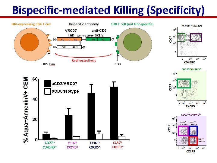 Bispecific-mediated Killing (Specificity) a. CD 3/VRC 07 a. CD 3/isotype 10: 1 Effectors: Target