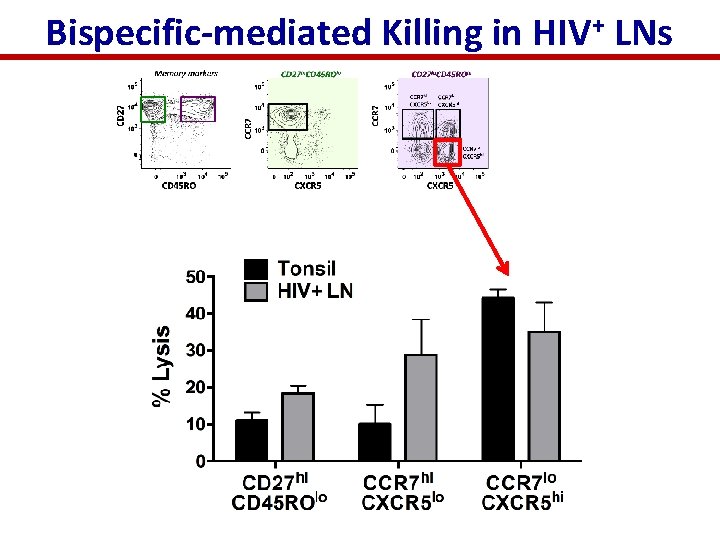 Bispecific-mediated Killing in HIV+ LNs 