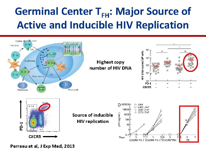 Highest copy number of HIV DNA copies/106 cells Germinal Center TFH: Major Source of