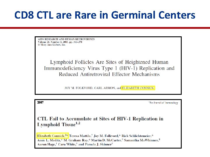 CD 8 CTL are Rare in Germinal Centers 2007 
