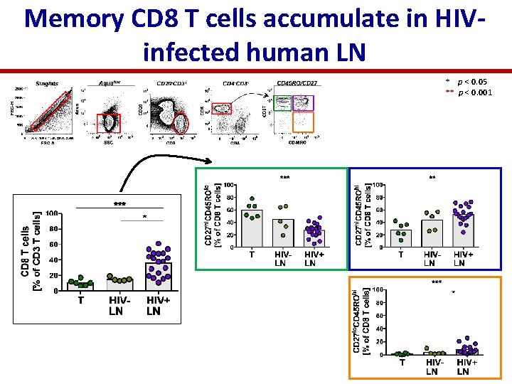 Memory CD 8 T cells accumulate in HIVinfected human LN * p < 0.