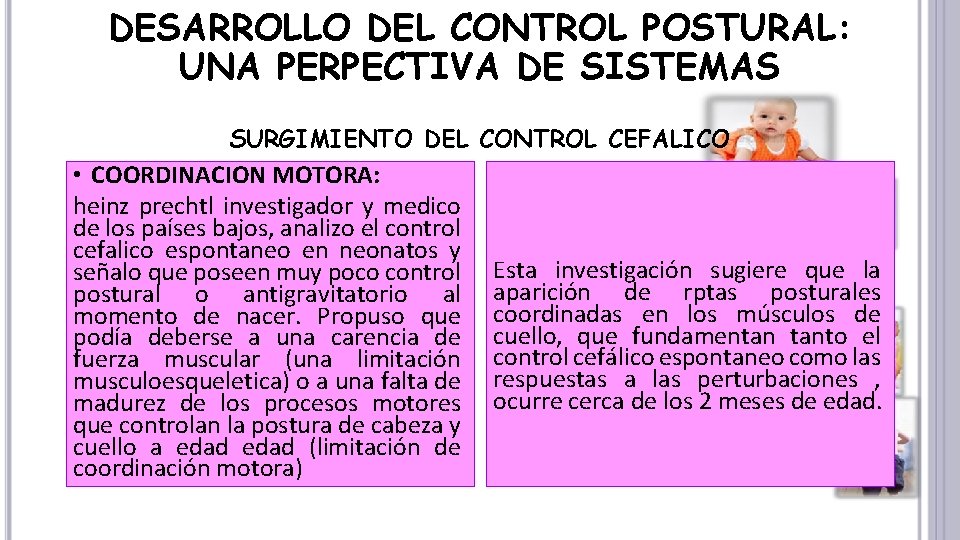 DESARROLLO DEL CONTROL POSTURAL: UNA PERPECTIVA DE SISTEMAS SURGIMIENTO DEL CONTROL CEFALICO • COORDINACION