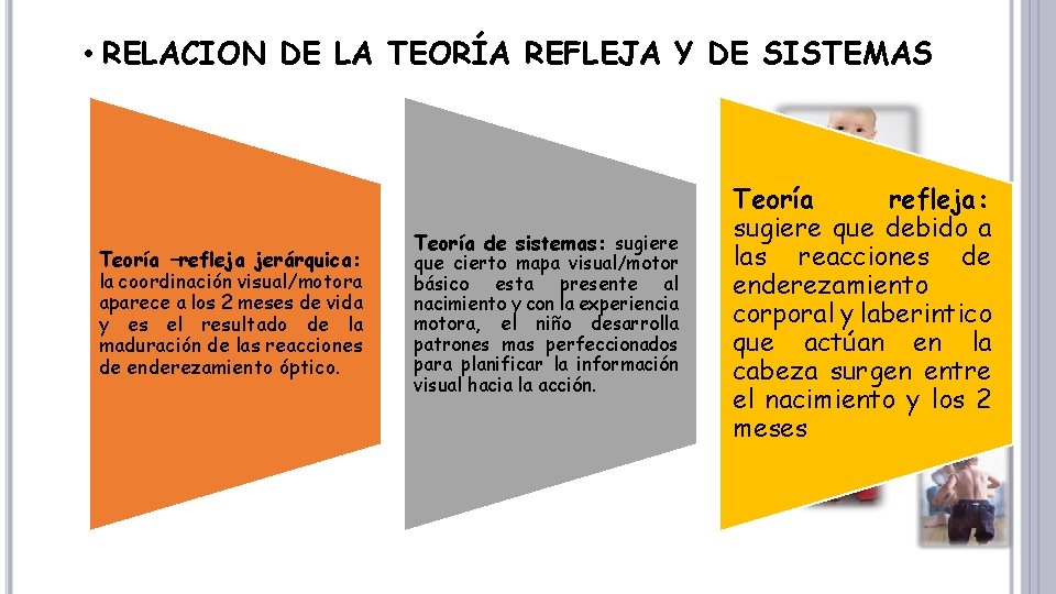  • RELACION DE LA TEORÍA REFLEJA Y DE SISTEMAS Teoría –refleja jerárquica: la