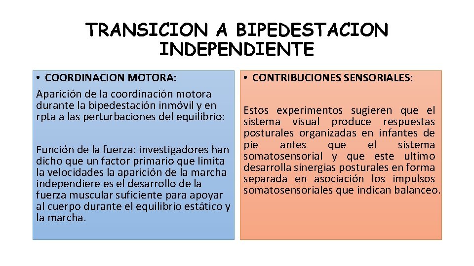 TRANSICION A BIPEDESTACION INDEPENDIENTE • COORDINACION MOTORA: Aparición de la coordinación motora durante la