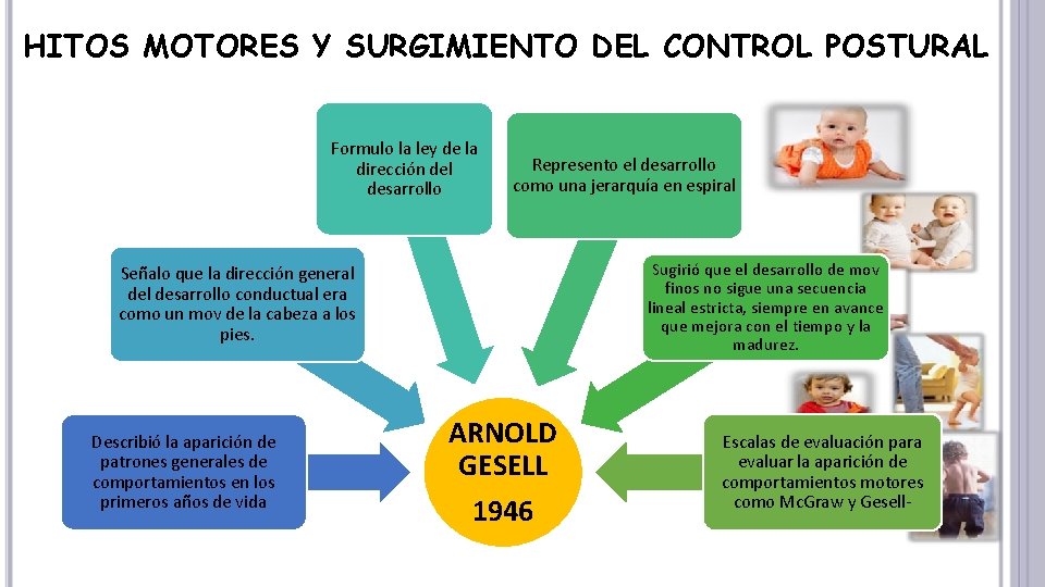 HITOS MOTORES Y SURGIMIENTO DEL CONTROL POSTURAL Formulo la ley de la dirección del