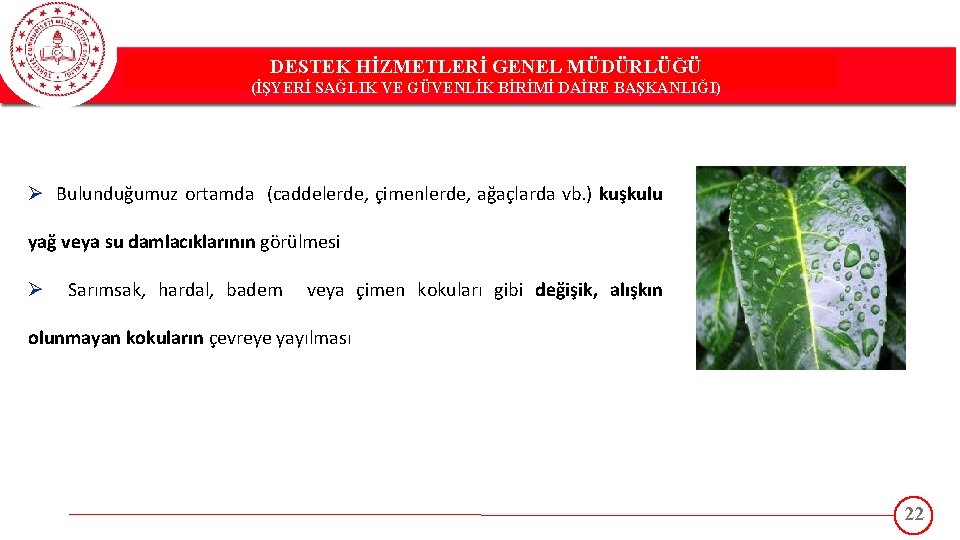 DESTEK HİZMETLERİ GENEL MÜDÜRLÜĞÜ DESTEK(İŞYERİ HİZMETLERİ GENEL MÜDÜRLÜĞÜ SAĞLIK VE GÜVENLİK BİRİMİ DAİRE BAŞKANLIĞI)